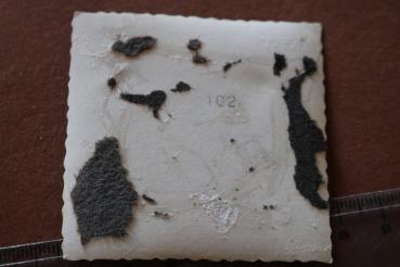 Preview: altes Foto - schlafender oder gefallener Soldat